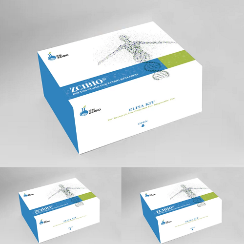 Mouse DHEA ELISA Kit-上海茁彩生物科技有限公司
