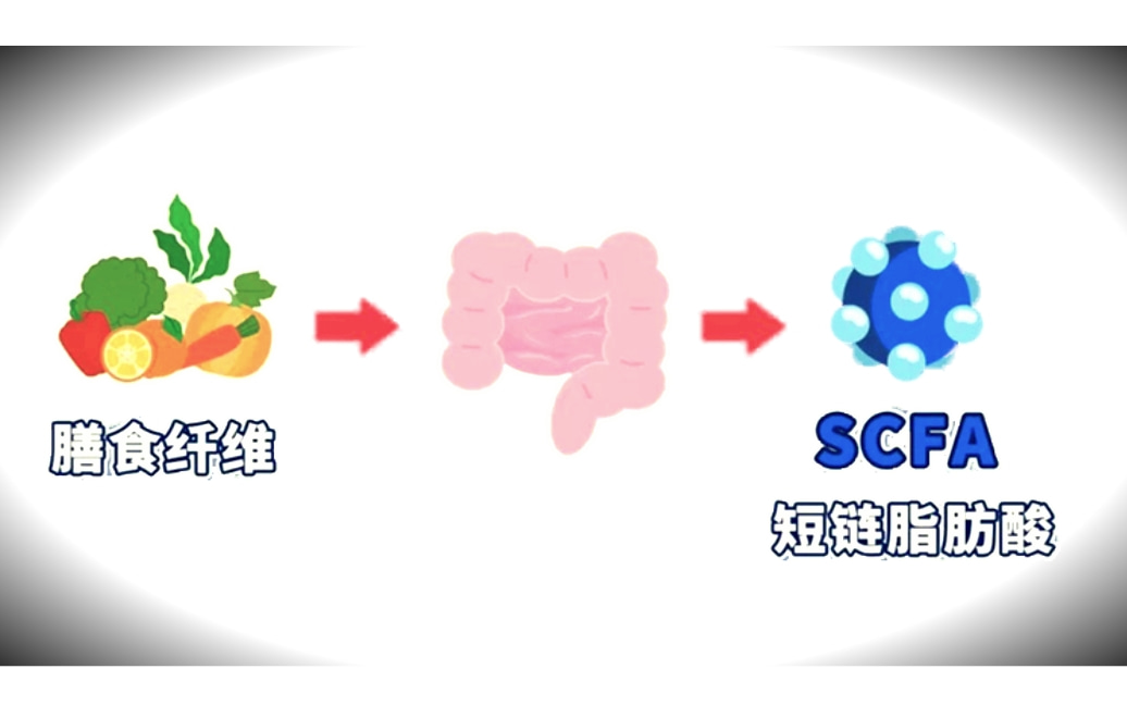 短链脂肪酸检测.jpg