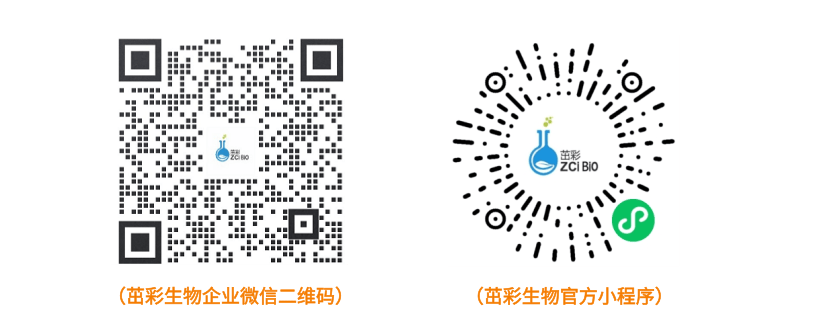 未命名 (3).png
